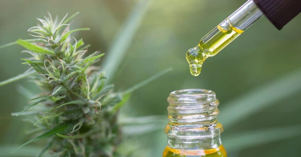 חרדה כל מה שרציתם לדעת על טיפול טבעי ב – CBD