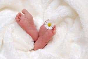 רגלי תינוק ופרח לבן